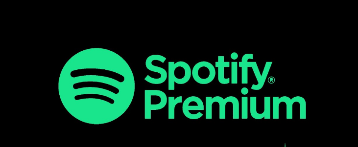 Spotify Lifetime Premium