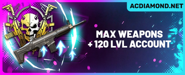 MW2 Max Weapons + 120 Level Account