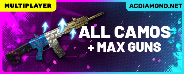 All Camos + Max Guns - MP